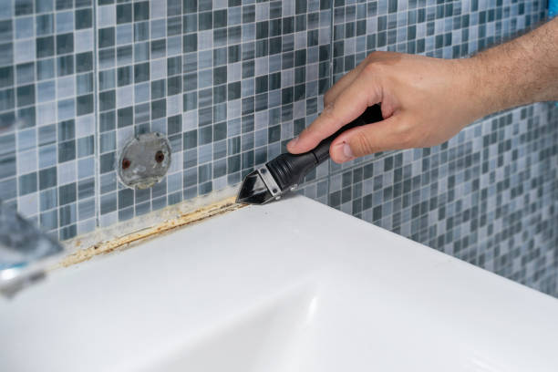 Best Commercial Mold Removal  in Townsend, DE